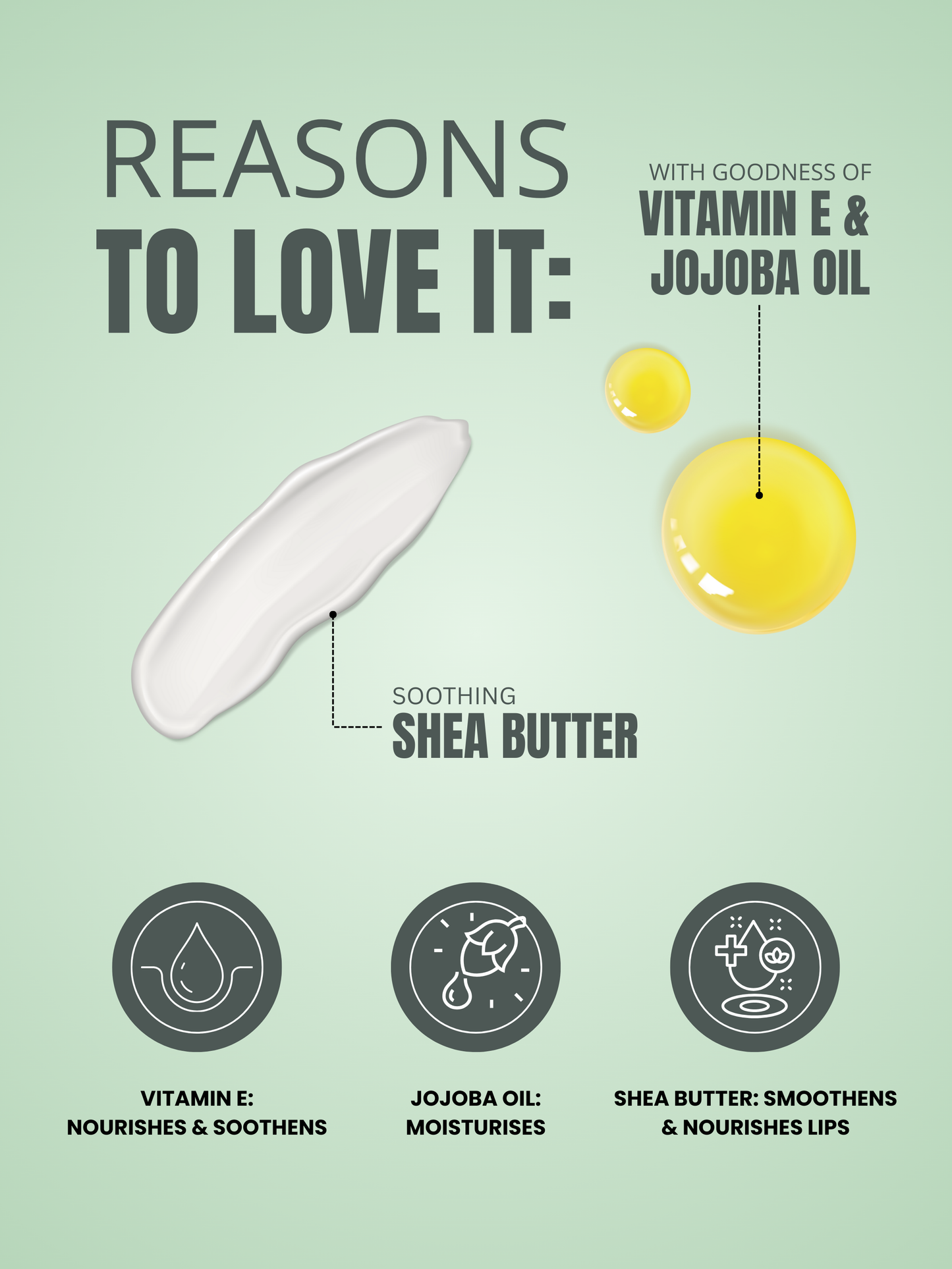 Renon SPF Lip Balm | Shea Butter | Jojoba Oil and Castor Oil | Vitamin E | Lip balm for dry lips | Lip balm men | Cocoa Butter | lip balm for women